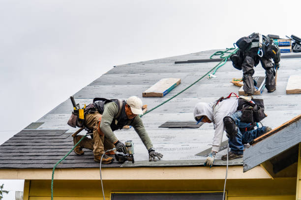 Professional Roofing technician working in Oklee, MN